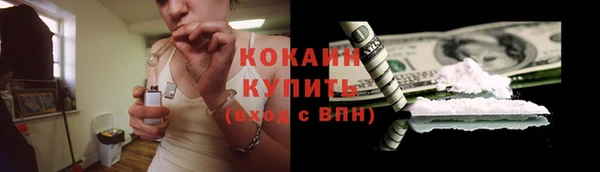 прущие крисы Балахна