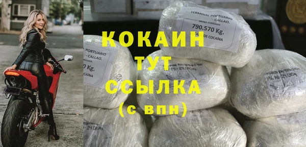 прущие крисы Балахна