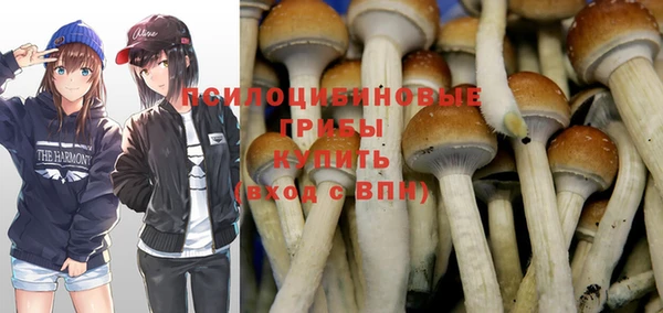 кокс Баксан